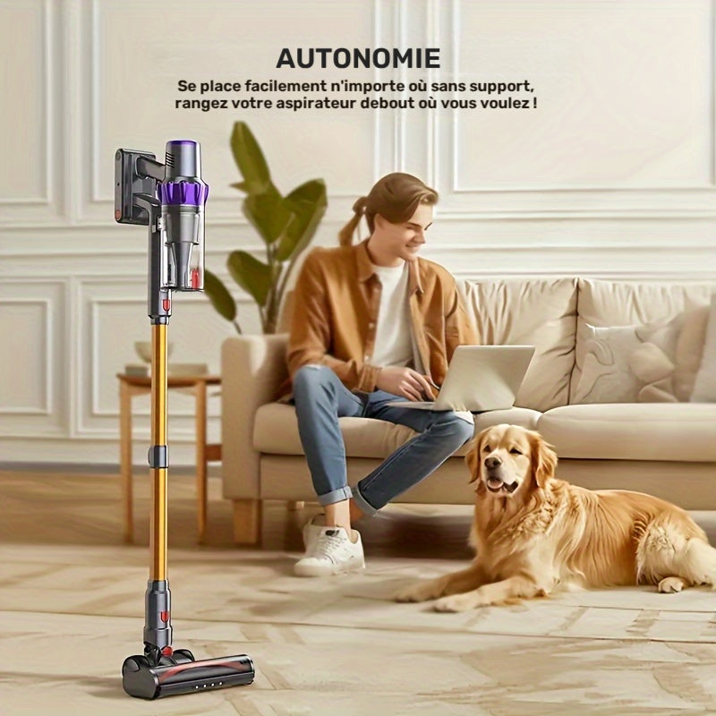 Aspirateur sans fil, 5L Parfait pour les Poils d'Animaux pour tapis et poils d’animaux – vue détaillée 3