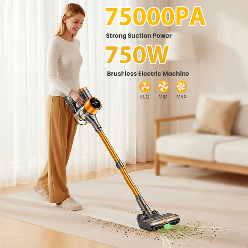 Aspirateur sans fil, 750W pour sols durs et tapis – vue principale