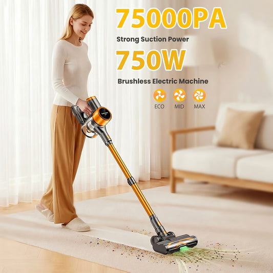 Aspirateur sans fil, 750W pour sols durs et tapis – vue principale