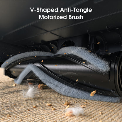 Aspirateur sans fil, P2/P pour tapis – vue détaillée 6