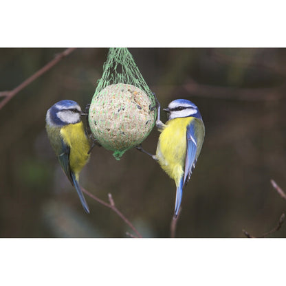 Boule de Graisse pour Oiseaux Sauvages, Nourriture Hivernale pour Oiseaux, Mélange de Graines et Céréales, 1 Pièce, 90g