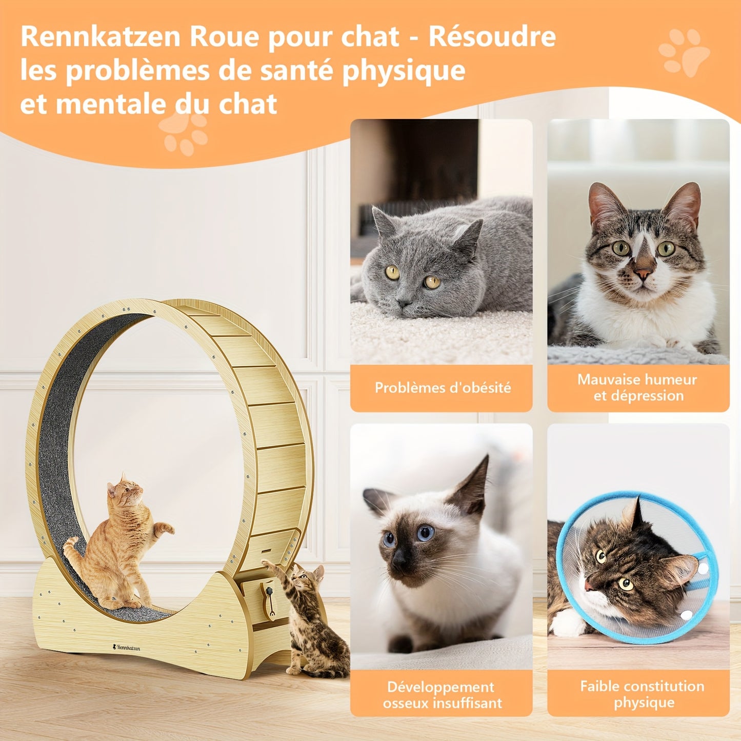 Grande Roue d'Exercice pour Chats et Chiens, Taille XL – Roue de Course en Bois pour Intérieur, Sûre et Confortable, Prévention de l'Obésité chez les Chats, Cadeau de Noël Parfait