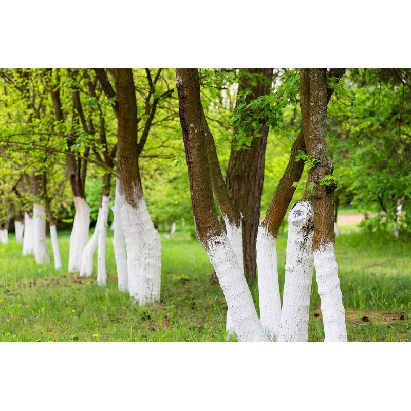 Chaux pour Blanchiment des Arbres, Arbustes et Désacidification du Sol, 2kg Biovita