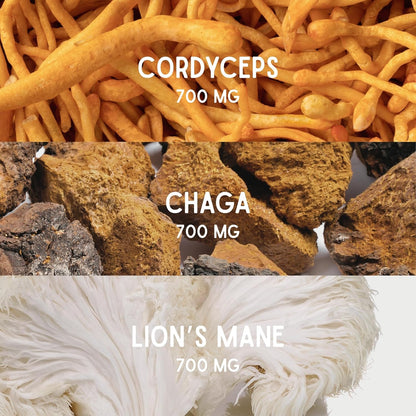 Fungi – Champignons adaptogènes (Cordyceps, Chaga, Lion’s Mane) – Saveur café, note de cacao - Naturellement sucré - stable & goût intense