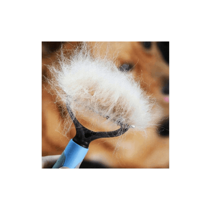 Le peigne enlève les poils morts du sous-pelage du chien.