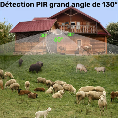 Caméra de chasse, 1 jeu pour déplacements et quotidien – vue détaillée 6