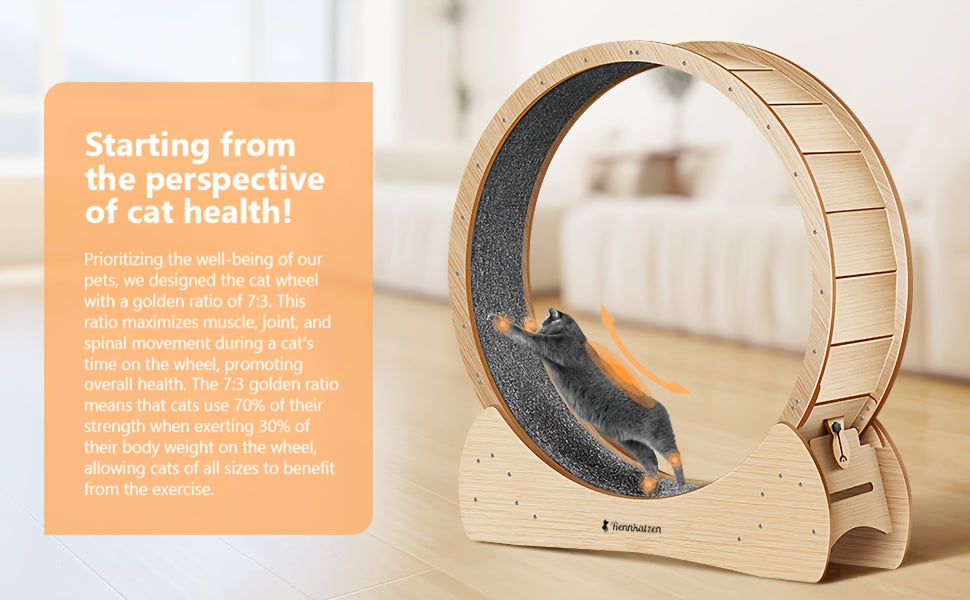 Grande Roue d'Exercice pour Chats et Chiens, Taille XL – Roue de Course en Bois pour Intérieur, Sûre et Confortable, Prévention de l'Obésité chez les Chats, Cadeau de Noël Parfait