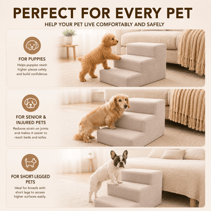 Escalier pour chiens et chats – 3 marches, velours côtelé doux, dessous antidérapant, housse amovible, rampe, plateforme