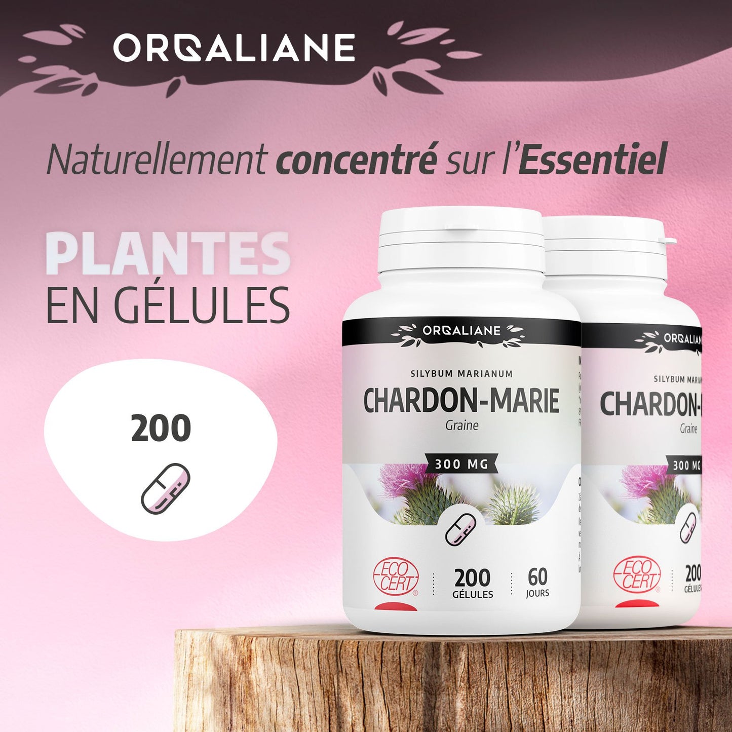 Chardon-Marie Biologique | 900 mg/jour | Silybum marianum | Certifié Ecocert | 200 Gélules