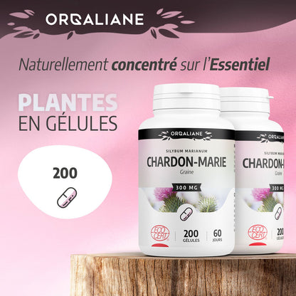 Chardon-Marie Biologique | 900 mg/jour | Silybum marianum | Certifié Ecocert | 200 Gélules