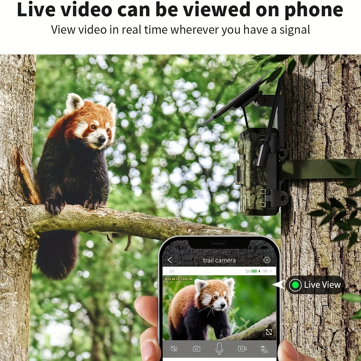 2 Caméras Cellulaires 4G LTE avec Vue en Direct 2.7K, Vision Nocturne Ultra HD, Carte SIM Intégrée, Accès Téléphonique à Distance, Fonction d'Activation de Mouvement en 0,2s, Panneau Solaire pour Zones sans Signal WiFi, Idéal pour la Chasse en Plein Air