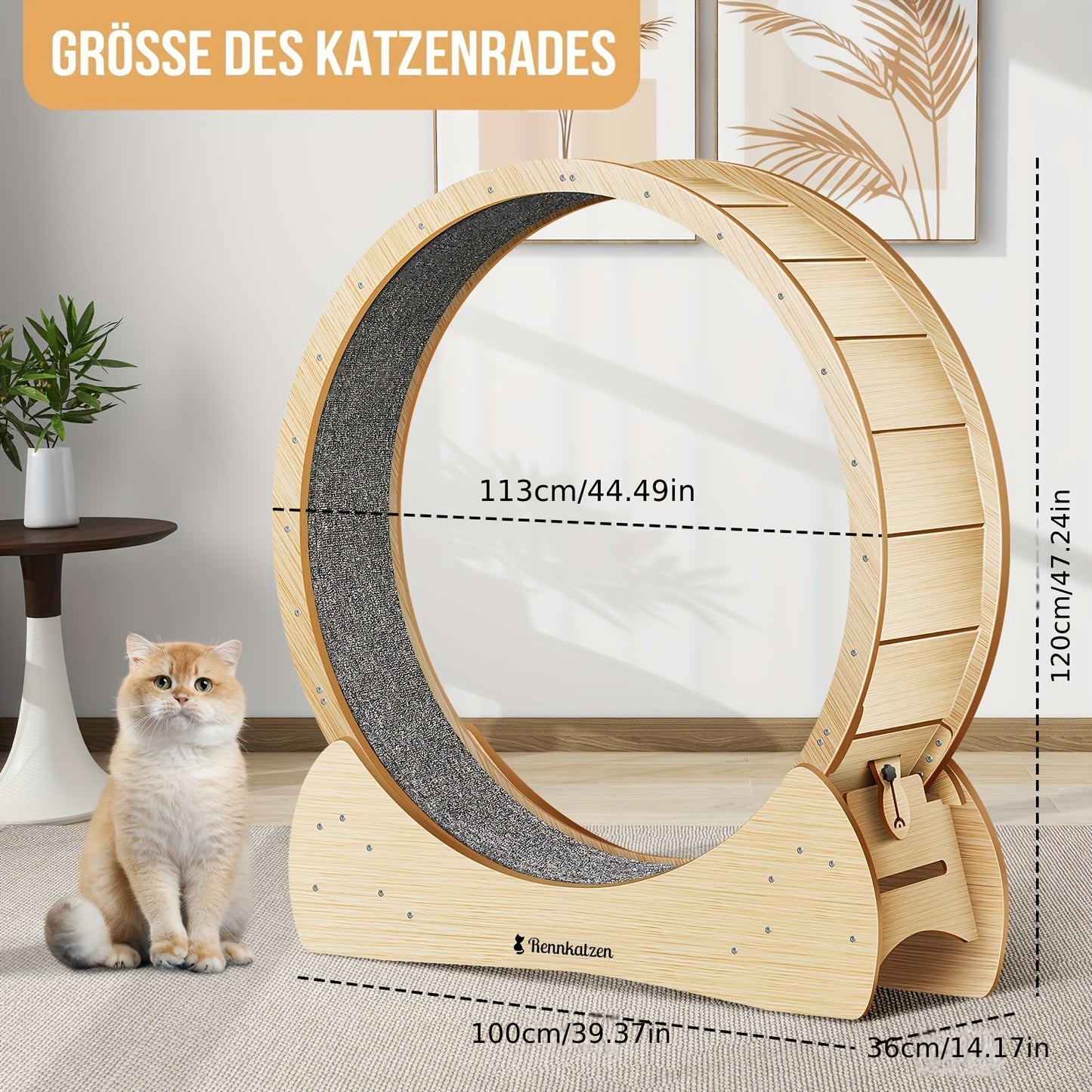 Roue d'exercice pour chat Rennkatzen, Roue de course pour chats et chiens XL, Roue d'intérieur de haute qualité pour chat, Bois naturel, Sûre et confortable, Grande roue pour chat pour usage intérieur