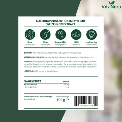 Gélules de Spermidine à Dose Élevée – 120 Gélules Véganes avec 6 mg de Spermidine par Gélule à partir de Germe de Blé – Extrait de Germe de Blé sans Additifs