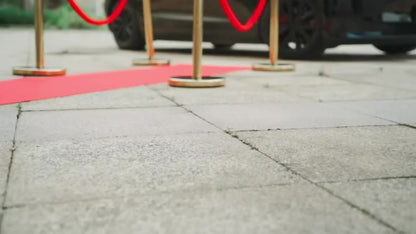 de barrières de foule, 8 pièces pour événements VIP et animaux domestiques – vue détaillée 12