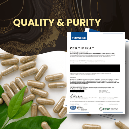 Lot de 2 capsules de Shilajit 196G Original avec huile MCT - Shilajit 2 X 120pièces Ultra Haute Dose en sac - AURAVIA® Végan - Shilajit rempli et testé en laboratoire en Allemagne - Fait en Allemagne
