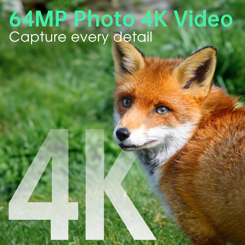 Caméra de Chasse 4K 64MP avec Vision Nocturne, Détection de Mouvement en 0,2s & 130°, Caméra de Jeu WiFi avec Écran, Panneau Solaire & Batterie de Secours pour Chasse, Surveillance de la Faune, Montage sur Arbre (Alertes Intelligentes via Application Mobi