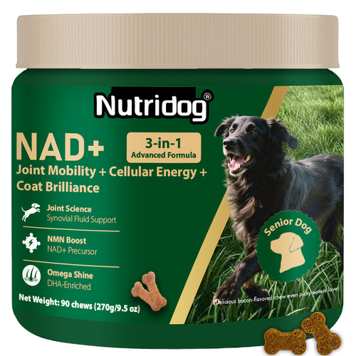 Complément NAD pour Chiens Âgés - Complément Articulaire 3-en-1 pour Chiens, Soins de la Peau & du Pelage en Comprimés à Mâcher avec Glucosamine, NMN, Omega-3 - Saveur Bacon, 90 Comprimés