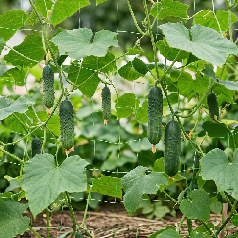 Garden Net for Climbing Plants 1.2×20M Support for Growing Cucumbers, Beans And Climbing Flowers, Durable Net with 15 × 17 Cm Mesh Ensuring Stable Plant Guidance in Vertical And Better Access to Light, Net for Cucumbers, Net for Tomatoes, Elastic Construc