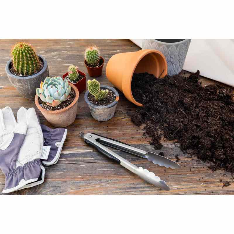 Plantes, 5L pour Cactus et Plantes Grasses Aloe 5L Permeable – vue détaillée 4