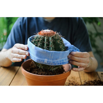 Plantes, 5L pour Cactus et Plantes Grasses Aloe 5L Permeable – vue détaillée 6