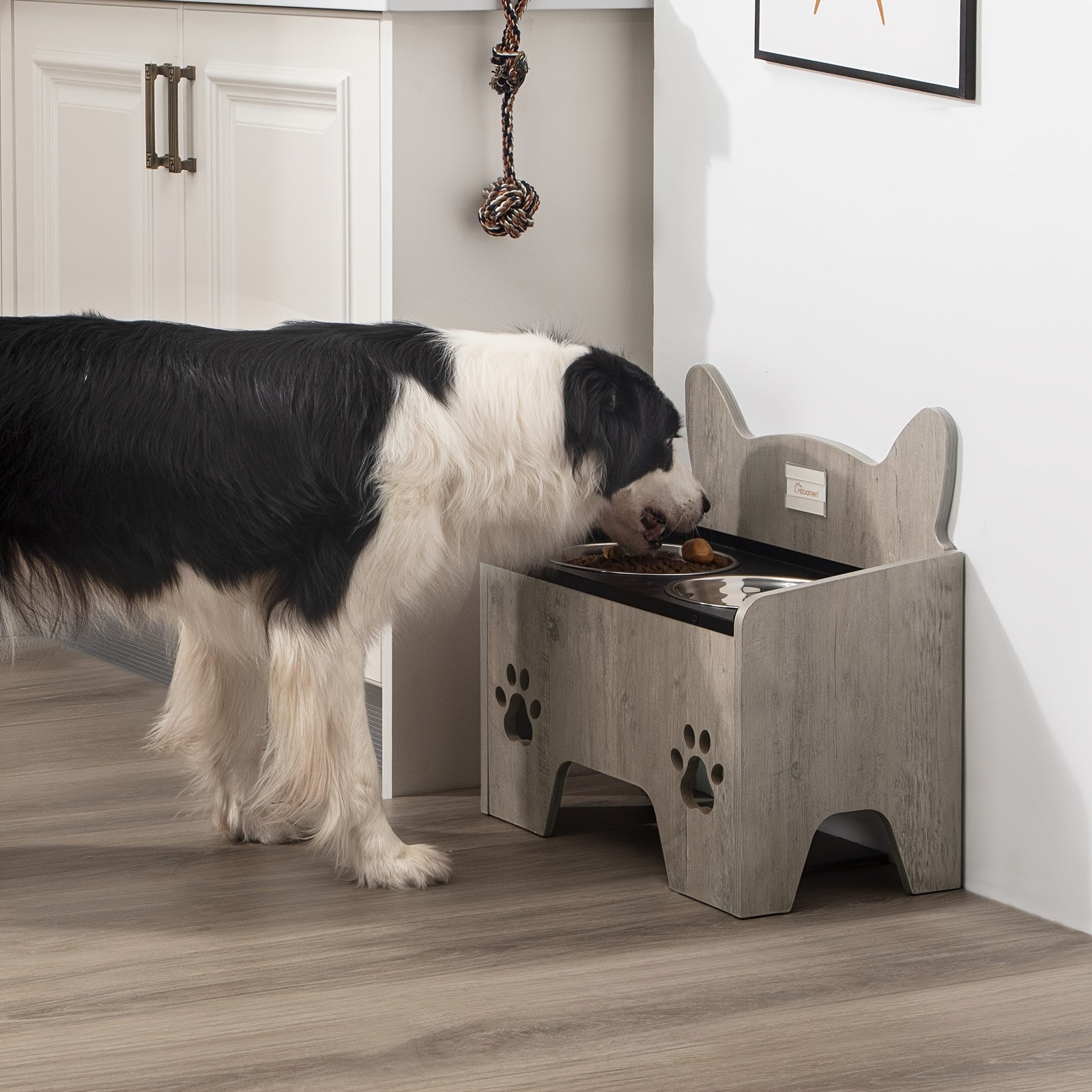 Station d'alimentation surélevée, acier inoxydable pour animaux et maison – vue détaillée 3