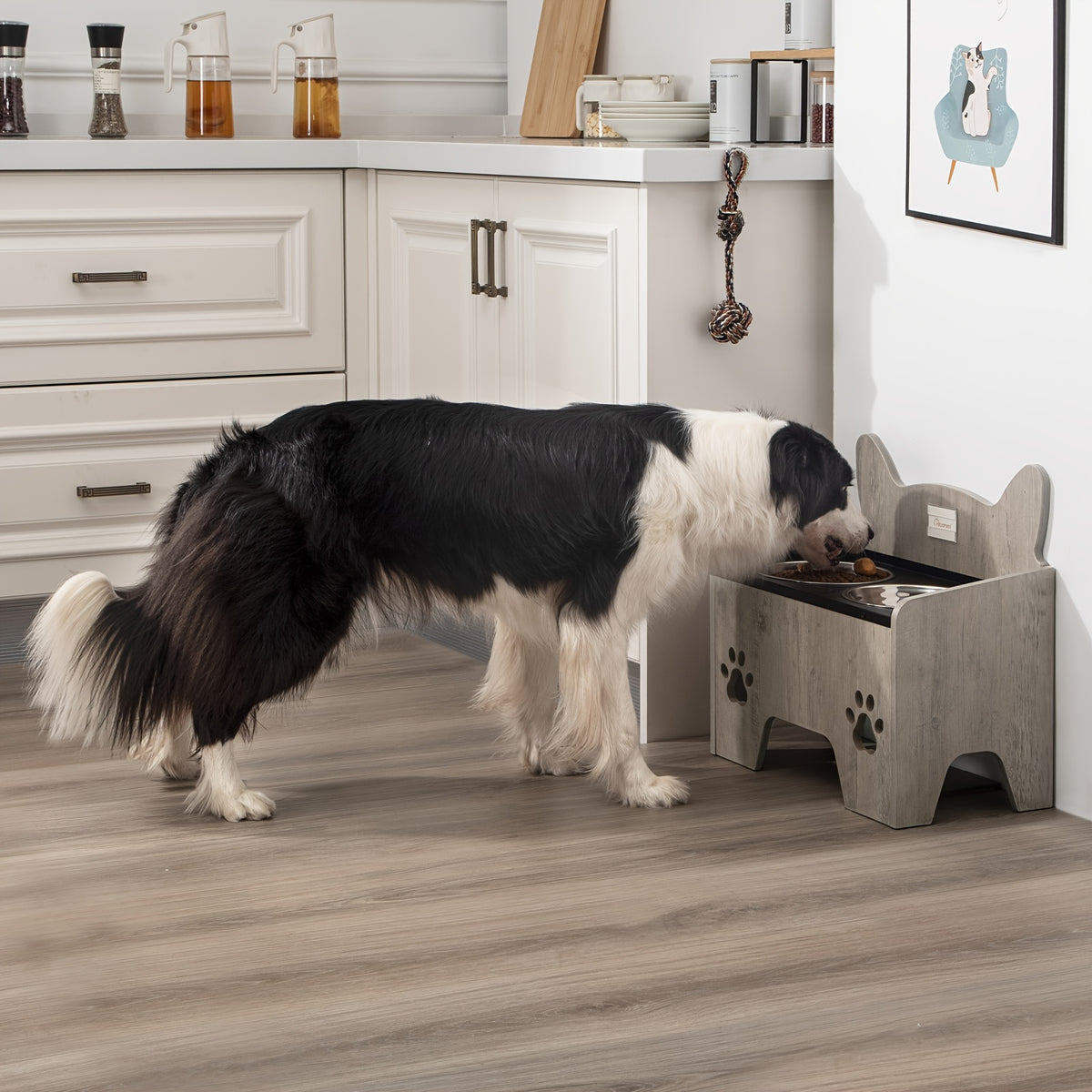 Station d'alimentation surélevée, acier inoxydable pour animaux et maison – vue détaillée 6
