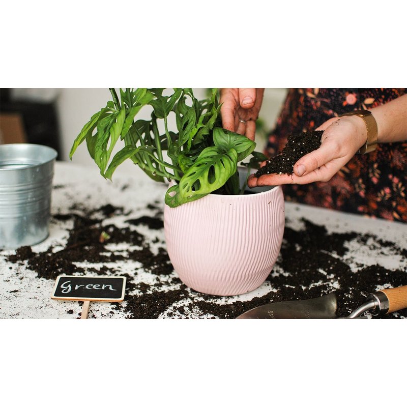 Substrat, 5L pour plantes vertes avec engrais Biovita et jardin – vue détaillée 3