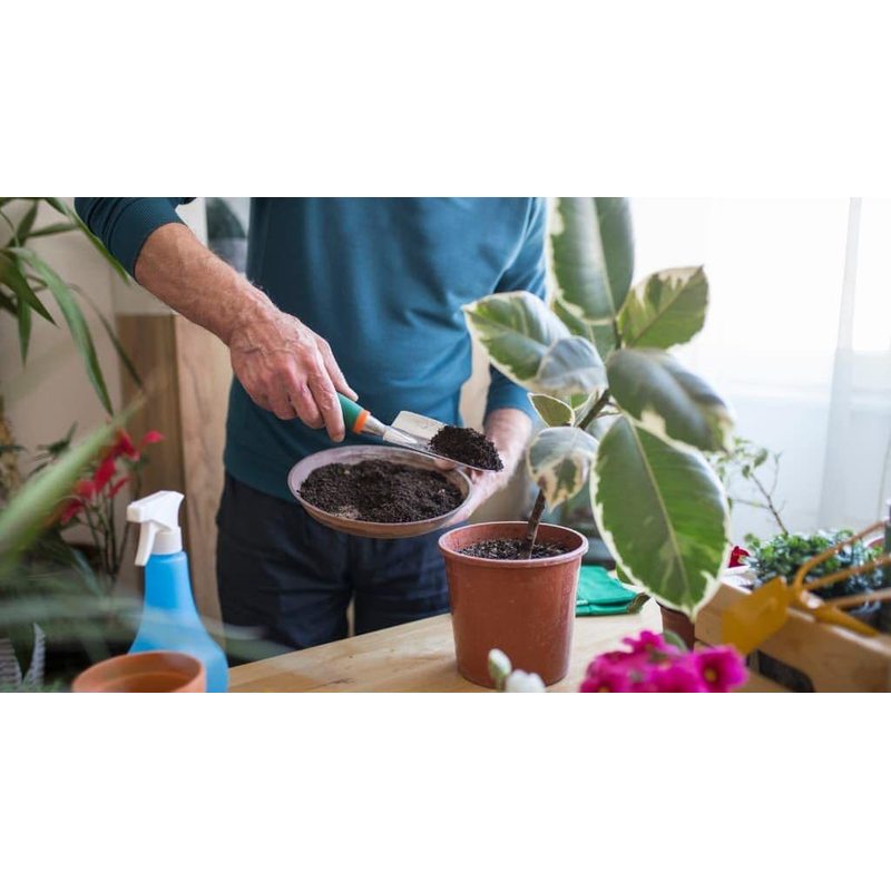 Substrat, 5L pour plantes vertes avec engrais Biovita et jardin – vue détaillée 5