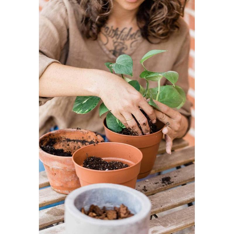 Substrat, 5L pour plantes vertes avec engrais Biovita et jardin – vue détaillée 6