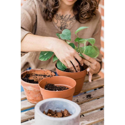 Substrat, 5L pour plantes vertes avec engrais Biovita et jardin – vue détaillée 6
