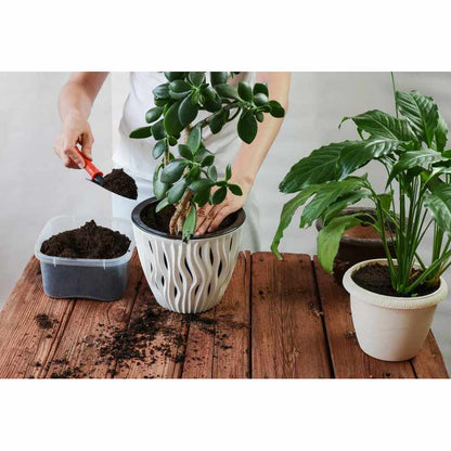 Substrat, 5L pour plantes vertes avec engrais Biovita et jardin – vue détaillée 7