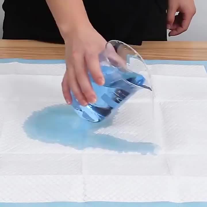 Tapis d'entraînement pour animaux et maison – vue détaillée 2