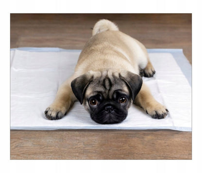 Tapis d'entraînement pour animaux et maison – vue détaillée 5