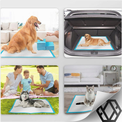 Tapis hygiéniques, 50 pièces pour animaux et maison – vue détaillée 3