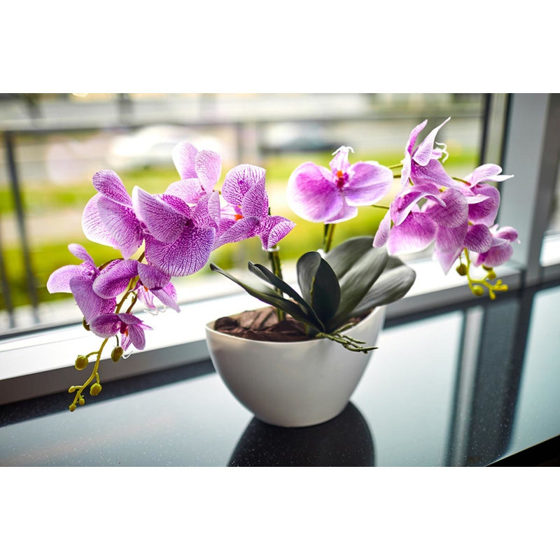Terre de culture naturelle, 3L pour orchidées 3L Biovita et quotidien – vue détaillée 6