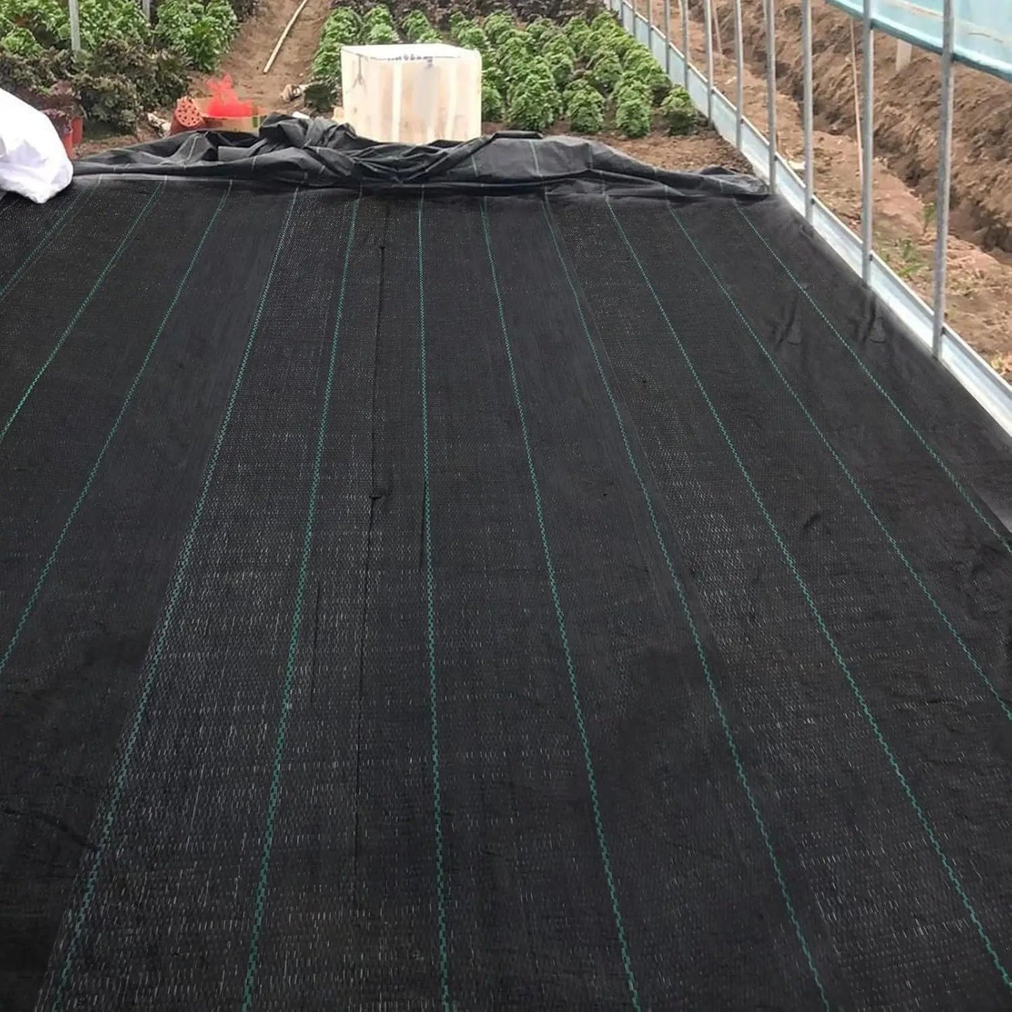 Toile anti-mauvaises herbes, 100 G pour jardin et terrasse – vue détaillée 4