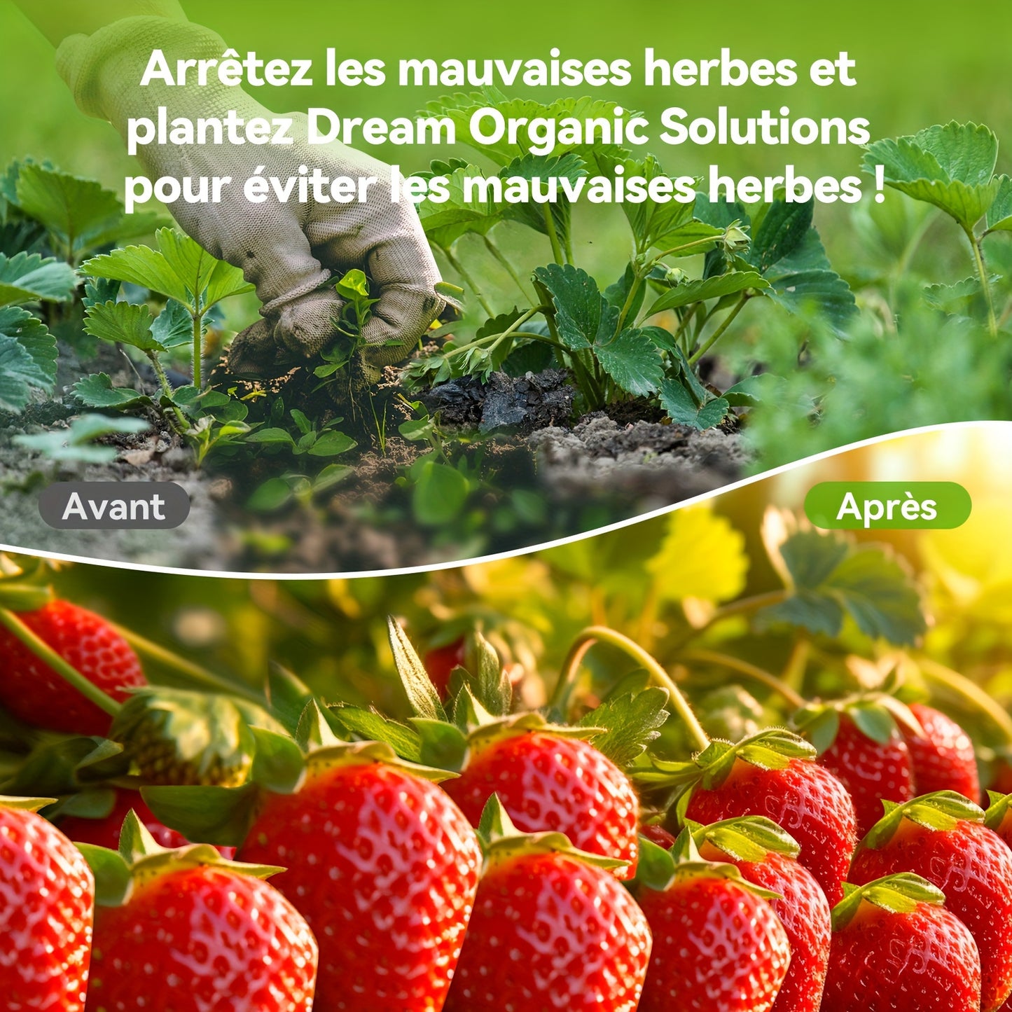 Toile anti-mauvaises herbes, 2*25M pour jardin et terrasse – vue détaillée 10