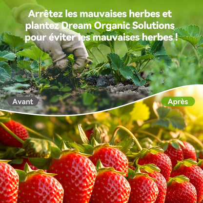Toile anti-mauvaises herbes, 2*25M pour jardin et terrasse – vue détaillée 10