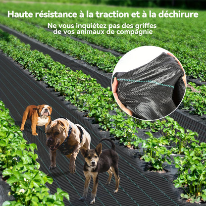 Toile anti-mauvaises herbes, 2*25M pour jardin et terrasse – vue détaillée 14