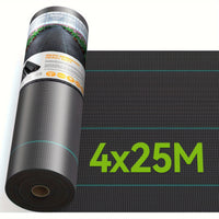 4*25M
