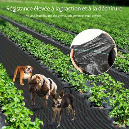 Toile anti-mauvaises herbes, 2*50 M pour aménagement paysager et jardin – vue détaillée 8