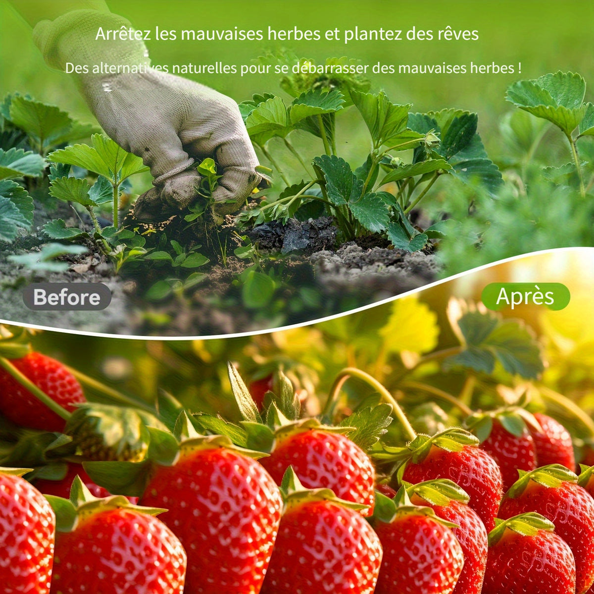 Toile anti-mauvaises herbes, 2*50 M pour aménagement paysager et jardin – vue détaillée 9