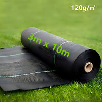3X10M