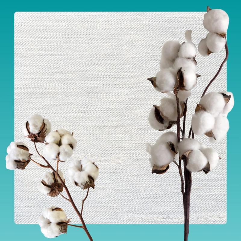 Toiles à peindre, coton pour Peintures Acryliques et Artistes Professionnels – vue détaillée 9