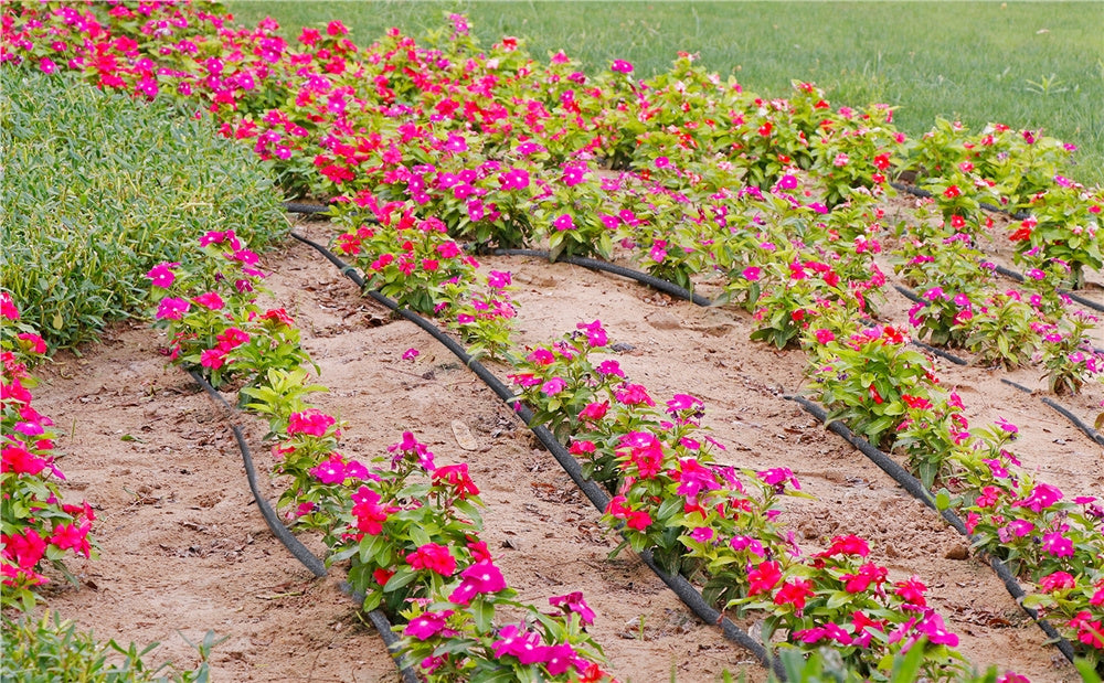 Tuyau à Perles Costoffs, 30 m pour jardin et terrasse – vue détaillée 8