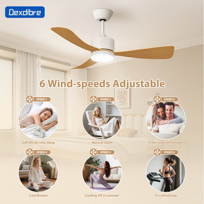 Ventilateur de plafond, coque rigide ABS pour quotidien et maison – vue détaillée 10