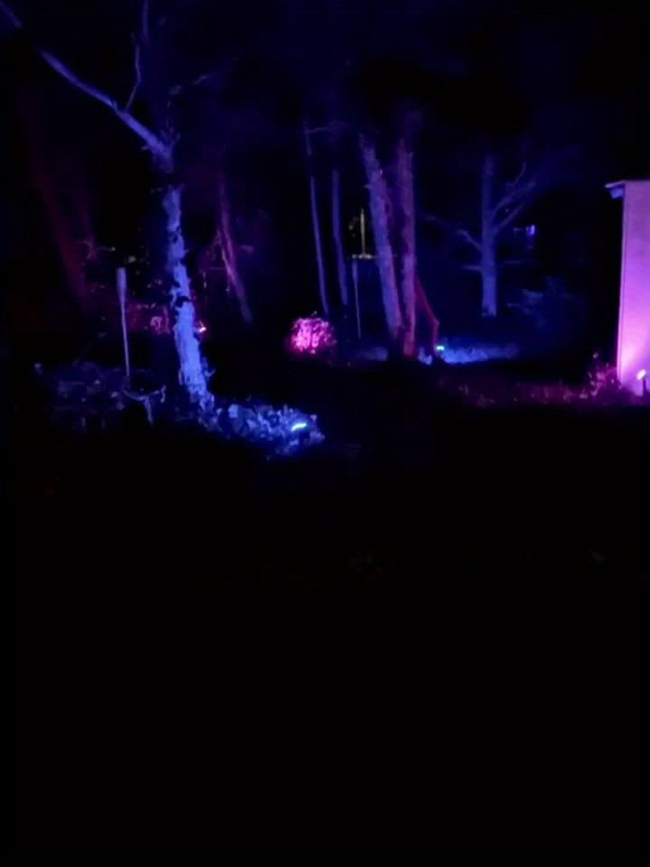 Vidéoprojecteurs, éclairage LED pour jardin et terrasse – vue détaillée 10