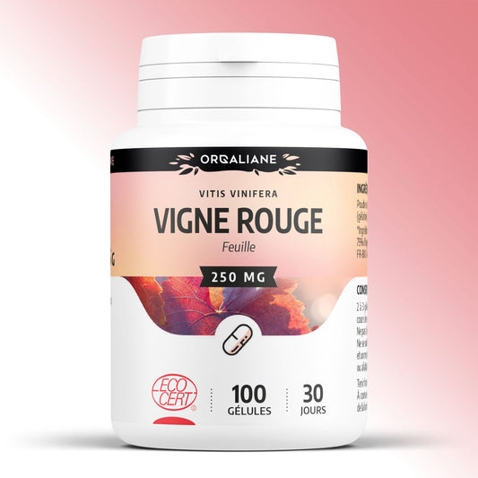 Vigne Rouge Biologique, 100 gélules pour quotidien et maison – vue principale