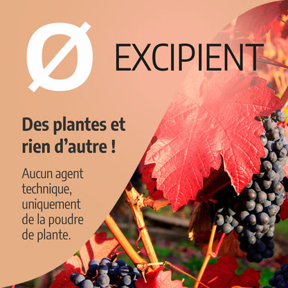 Vigne Rouge Biologique, 100 gélules pour quotidien et maison – vue détaillée 4