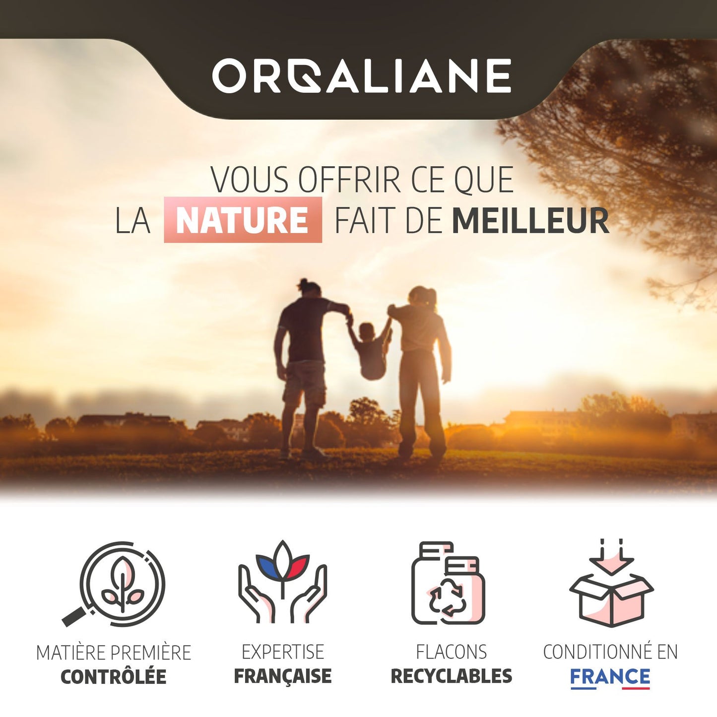 Vigne Rouge Biologique, 100 gélules pour quotidien et maison – vue détaillée 5